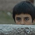 Foto Doğan İzci