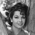Foto Annette Funicello