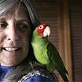Foto Judy Irving