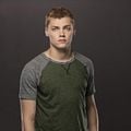 Foto Levi Meaden