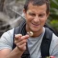 Foto Bear Grylls