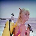 Foto Valerie Taylor