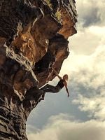 Pôster de O Jogo do Predador