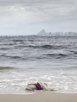 Pôster de Paradeiros