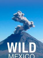 imagem de Wild Mexico