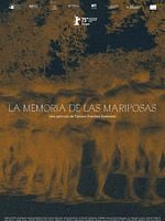 Pôster de A Memória das Borboletas