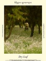 Pôster de Folha Seca