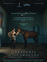 Pôster de    A Anatomia dos Cavalos