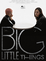 Pôster de Big Little Things