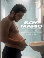 Pôster de Sou Mario