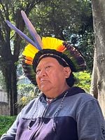 Pôster de Kopenawa: Sonhar a Terra-Floresta