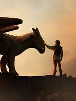 Pôster de Como Treinar o Seu Dragão 2