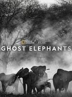 Pôster de Elefantes Fantasmas