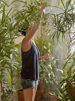 Pôster de Um Dia Antes de Todos os Outros