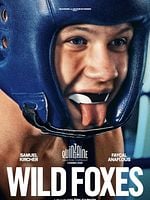Pôster de A Dança das Raposas