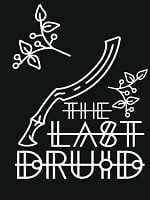 Pôster de The Last Druid
