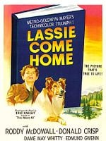 Pôster de Lassie: A Força do Coração