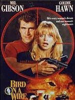 Pôster de Alta Tensão