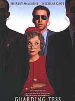 Pôster de O Guarda-Costas e a Primeira Dama