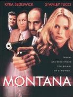 Pôster de Montana