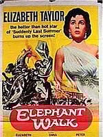 Pôster de No Caminho dos Elefantes