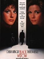 Pôster de O Mistério da Viúva Negra