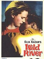 Pôster de Rio Violento