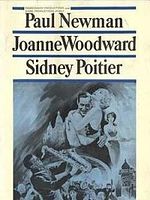 Pôster de Paris Vive à Noite