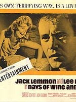 Pôster de Vício Maldito