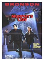 Pôster de O Vingador