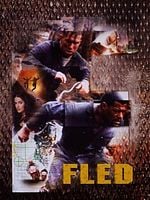 Pôster de A Caçada