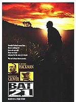 Pôster de Bat 21 - Missão no Inferno