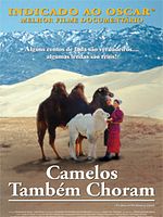 Pôster de Camelos Também Choram