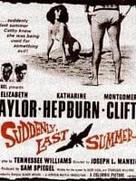 Pôster de De Repente, No Último Verão