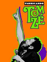 Pôster de Fabricando Tom Zé