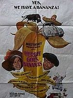 Pôster de A Última Cruzada do Fusca