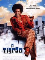 Pôster de O Tigrão