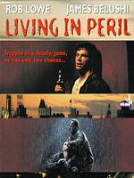 Pôster de Vivendo em Perigo