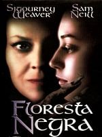Pôster de A Floresta Negra