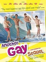 Pôster de Another Gay Sequel: Gays Gone Wild!