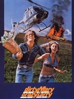 Pôster de Fuga Alucinada