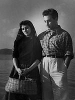 Pôster de A Mulher de Longe