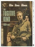 Pôster de Vidas em Fuga