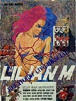 Pôster de Lilian M: Relatório Confidencial