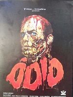 Pôster de Ódio
