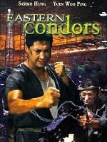 Pôster de Os Condores do Oriente