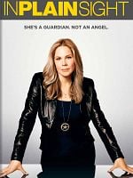 imagem de In Plain Sight