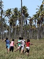 Pôster de Sem Coração (short)