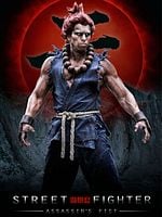 Pôster de Street Fighter: Assassin's Fist