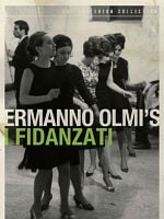 Pôster de Os noivos